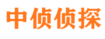 龙凤市侦探调查公司